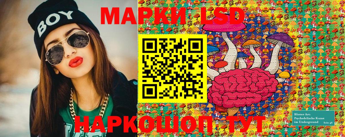 Мурино  Марки NBOMe 1500мкг  Марки NBOMe 1500мкг  цены наркотик  Вход с VPN 