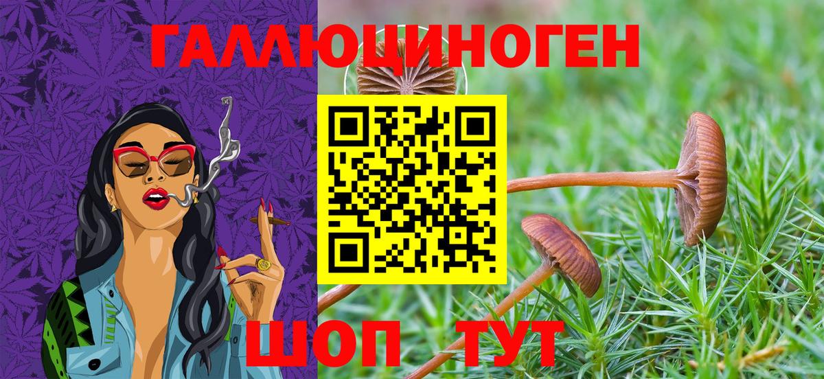 Галлюциногенные грибы прущие грибы Мурино