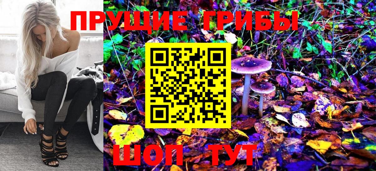 Псилоцибиновые грибы Psilocybe  Вход с VPN  Галлюциногенные грибы Psilocybine cubensis  Мурино 